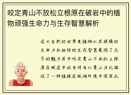 咬定青山不放松立根原在破岩中的植物顽强生命力与生存智慧解析 咬定青山不放松立根原在破岩中的植物顽强生命力与生存智慧解析
